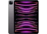 Apple iPad Pro 11 2TB [Wi-Fi, Modell 2022] space grau