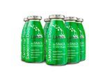 SmoothieDog Lamm 6x250 ml