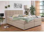 Boxbett HOME AFFAIRE "Carde", beige (beige, creme), B:214cm L:210cm, Komplettbetten, Boxbett, wahlweise mit Bettkasten, in H2, H3 & H4 erhältlich