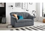 2-Sitzer DOMO COLLECTION "Pegnitz für kleine Räume, Breite 155cm, bequem", grau (steel), B:155cm H:82cm T:82cm, 95% Polyester, 5% Nylon, Sofas, 2-Sitzer, zeitlos, elegante Armlehnen, komfortabel