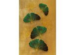 Leinwandbild QUEENCE "Gingkoblätter Gold, Canvas Bild von Hand bespannt", farbe bild(er): gold,gelb,grün, B:30cm H:40cm T:2cm, Bilder, Leinwandbild, Zeitlose Ginkgo-Motive in hellen Farben