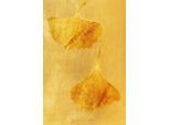 Leinwandbild QUEENCE "Ginkgoblätter in Gold, Canvas Bild von Hand bespannt", gold (farbe bild(er): gold), B:60cm H:90cm T:2cm, Bilder, Leinwandbild, Zeitlose Ginkgo-Motive in hellen Farben