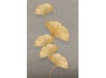 Leinwandbild QUEENCE "Goldener Ginkgo, Canvas Bild von Hand bespannt", farbe bild(er): gold,grau, B:60cm H:90cm T:2cm, Bilder, Leinwandbild, Zeitlose Ginkgo-Motive in hellen Farben