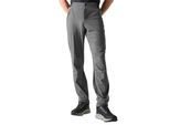 Dare 2B Heren Torrek Lite wandelbroek (Magneet)