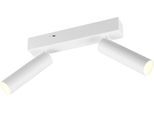 TRIO LEUCHTEN LED Deckenstrahler "AMBALA, LED Spot, 500 Lumen CCT 2300/3000/4000K", weiß (weiß matt), 2, H: 17,5cm, 1 Stk., Leuchten, in 3 Stufen dimmbar per Wandschalter, drehbar schwenkbar Spot, LED Deckenstrahler