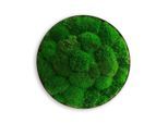 StyleGREEN , Grün , Naturmaterialien , 8 cm , einfache und schnelle Anbringung, pflegefrei – nicht gießen oder besprühen, keine Beleuchtung notwendig ,