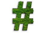 StyleGREEN , Grün , Naturmaterialien , Kork , 25x17x4 cm , einfache und schnelle Anbringung, pflegefrei – nicht gießen oder besprühen, keine Beleuchtung notwendig ,