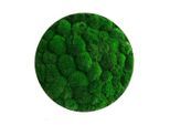 StyleGREEN , Grün , Naturmaterialien , 10 cm , einfache und schnelle Anbringung, pflegefrei – nicht gießen oder besprühen, keine Beleuchtung notwendig ,