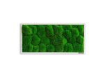 StyleGREEN , Grün , Naturmaterialien , Eiche , 57x27x7 cm , einfache und schnelle Anbringung, pflegefrei – nicht gießen oder besprühen, keine Beleuchtung notwendig ,