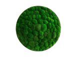 StyleGREEN , Grün , Naturmaterialien , 15 cm , einfache und schnelle Anbringung, pflegefrei – nicht gießen oder besprühen, keine Beleuchtung notwendig ,