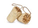 Lyra Pet Protein Boost Körner Riegel mit Mehlwürmern 2x12 Stück