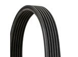 CONTINENTAL CTAM Keilrippenriemen 6dpk1352 für VW