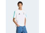 T-Shirt ADIDAS PERFORMANCE "MERCEDES-AMG PETRONAS FORMULA 1 TEAM DNA", Herren, Gr. S, weiß (weiß, semi mint rush), Obermaterial: 100% Baumwolle, Rundhals, Shirts T-Shirt