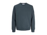 Jack & Jones Jjcleveland sweat crew neck ln