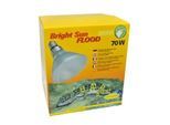 Lucky Reptile Bright Sun FLOOD Desert 70 W