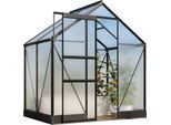 Gewächshaus VITAVIA "Apollo 2500", schwarz, B:195cm H:207,4cm T:136,6cm, Gewächshäuser, Gewächshaus, Alu-Profile, Stahlfundamentrahmen, 6 mm Hohlkammerplatten