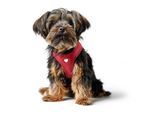 Hunter Geschirr Love 19 cm