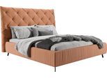 Polsterbett HOME AFFAIRE "Maxime, in 4 Breiten bis 200cm, auch in Leder", orange (pfirsich), B:176cm H:143cm L:234cm, 100% Polyester, Betten, Polsterbett, Kopfteilhöhe 143 cm, belastbar bis 280 kg, auch in Überlänge 220cm