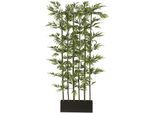 Kunstpflanze CREATIV GREEN "Bambus", grün, B:60cm H:195cm, Kunstpflanzen, Kunstpflanze