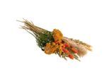 Trockenblumen-Sortiment "Herbst Look", orange-grün-natur