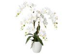 Möbelix , Weiß, Grün , Keramik , 67 cm , inkl. Topf, Real-Touch-Oberfläche ,