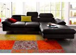 Ecksofa COTTA "Driver L-Form, B: 268 cm", schwarz, Sofas, B/H/T: 268cm x 73cm x 169cm, Leder PAMPAS, Recamiere rechts,mit Kopfteilverstellung,mit Bettfunktion und Bettkasten, LEDER BEEFY (ein abgedecktes Spalt-Rindsleder) im Sitz und Rücken (Korpus in Kunstleder);Luxus-Kunstleder;Kunstleder SOFTLUX;Leder Pampas (echtes Rindsleder), Rückseite mit schwarzem Spannstoff bezogen, Ecksofa, Kopfteilverst