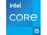 INTEL Prozessor "Core i5-12400", blau (silberfarben), B:45mm H:4mm T:37,5mm, Prozessoren