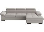 Ecksofa SIT & MORE "Viola, Leder, L-Form, B: 260 cm, mit Armteil- und Kopfteilvertsellung", grau (light grau), B:260cm H:73cm T:174cm, Sofas, Ecksofa, optional mit Schlaffunktion