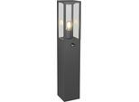 Außen-Stehlampe TRIO LEUCHTEN "GARONNE, Outdoor Wegeleuchte mit Bewegungsmelder IP44, 80cm hoch", grau (anthrazit, transparent), B:14cm H:80cm T:15,5cm, Leuchten, exkl 1x E27 max 60W, Stehleuchte für Garten & Terrasse aus Metall