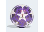 Fußball ADIDAS PERFORMANCE "UCL TRN F" Gr. 5, pantone, weiß, Bälle, 5, 0,4 g, Synthetik, Champions League, B:22,3cm H:17,3cm T:22cm