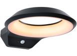 LED Außen-Wandleuchte PAULMANN "Anela 230V", grau (anthrazit), B:24,5cm H:7,1cm T:30,9cm, Leuchten, insektenfreundlich