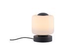 Tischleuchte PAUL NEUHAUS "BOTA", grau (anthrazit), Leuchten, 1, Ø 12cm H: 15cm, 1 Stk., Tischleuchte, LED, dimmbar über Touchdimmer, H:15cm Ø:12cm