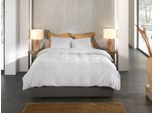 Bettwäsche HECKETT & LANE "Franela", grau (light grau), B/L: 135cm x 200cm, 1 Stk., 1 Stk., Flanell, B/L: 80cm x 80cm, 2 Stk., Flanell, Obermaterial: 100% Baumwolle, Bettwäsche, Bettwäsche, Uni Design, hochwertiges Flanell, Bettwäsche ab 135x200 cm