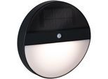 LED Außen-Wandleuchte PAULMANN "Elois", grau (anthrazit), T:5cm Ø:22cm, Leuchten, LED-Board, Solar, mit Bewegungsmelder