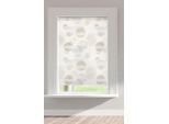 Doppelrollo OTTO HOME "Belem" Gr. 5, grau (stein), B:80cm H:150cm, Polyester, Rollos, Doppelrollo, Rollo, halbtransparent, im Fixmaß, Kreise, bedruckt, für Fenster & Tür