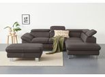 Ecksofa COTTA "Driver L-Form, B: 265 cm", braun (cacao), Sofas, B/H/T: 268cm x 73cm x 214cm, Leder PAMPAS, Ottomane rechts,mit Kopfteilverstellung,ohne Bettfunktion und Bettkasten, Kunstleder SOFTLUX;LEDER BEEFY (ein abgedecktes Spalt-Rindsleder) im Sitz und Rücken (Korpus in Kunstleder);Luxus-Kunstleder;Leder Pampas (echtes Rindsleder) im Sitz und Rücken (Rückseite mit Spannstoff bezogen), Ecksof
