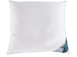 Federkissen HAEUSSLING "Kuscheltraum Kissen soft, 40x80 & 80x80 cm", weiß, B:80cm L:80cm, Bezug: 100% Baumwolle. Füllung: 70% Federn, 30% Daunen, Kopfkissen, Kopfkissen mit Milbenbarriere – geprüfter Schutz für Allergiker