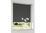 Rollo OTTO HOME "Themse-Uni" Gr. 2, grau (anthrazit), B:50cm H:150cm, Polyester, Rollos, Rollo, Bestseller, Rollo Fenster, Seitenzugrollo, Sonnenschutz, Topseller
