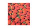 Baumwollstoff-Digitaldruck "Erdbeeren", Serie Ria, rot-color
