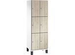 C+P Schliessfachschrank Cambio, 2 Abteile, 6 Fächer, auf Füssen, B 600 x T 525 x H 1980 mm, verkehrsweiss/Sen Esche-Dekor