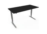 STIER Elektrisch Höhenverstellbarer Schreibtisch 501-43 160 x 80 cm Schwarz/Silber 65-125 cm (907768)
