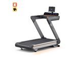 Laufband REEBOK "Reebok Z-Tech", grau (metallic grau), Laufbänder, ohne Unterlegmatte, Laufband, bis max. 20 km/h, mit Steigung, 150 kg max. Benutzergewicht, B:85cm H:157cm L:172cm