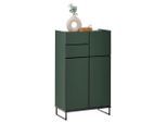 Mid.you Midischrank, Grün, Schwarz, Metall, 2 Fächer, 2 Schublade(n) Schubladen, 60x102x31 cm, stehend, Badezimmer, Badezimmerschränke, Midischränke