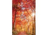 Leinwandbild BÖNNINGHOFF "Wandbild BUNTER HERBSTWALD 60x90 cm – Leinwandbild Keilrahmen Deko", rot (farbe bild(er): rot, orange, gelb), B:90cm H:60cm T:1,8cm, Canvas, MDF, Bilder, Leinwandbild, auf Keilrahmen gespannt