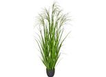 Kunstgras CREATIV GREEN "Grasbusch Miscanthus graziella", grün, H:175cm, Obermaterial: 100% Kunststoff, Kunstpflanzen, Kunstgras, mit dekorativen Blüten