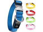 Petsation Leuchthalsband Hundehalsband blau M