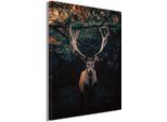 Leinwandbild BÖNNINGHOFF "Wandbild HIRSCH IM WALD XXL 118x140 cm – Leinwandbild Keilrahmen Deko", schwarz (farbe bild(er): schwarz, braun, grün), B:118cm H:140cm T:4,3cm, Canvas, MDF, Bilder, Leinwandbild, auf Keilrahmen gespannt