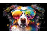 Leinwandbild BÖNNINGHOFF "Wandbild BUNTER HUND XXL 90x150 cm – Leinwandbild Keilrahmen Deko", bunt (farbe bild(er): schwarz, orange, blau, weiß), B:150cm H:90cm T:4,5cm, Canvas, MDF, Bilder, Leinwandbild, auf Keilrahmen gespannt