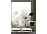 Schiebegardine HOME WOHNIDEEN "3ER SET" Gr. 1, beige (naturfarben), B:60cm H:245cm, Polyester, Gardinen, Schiebegardine, SET,SEIDENOPTIK,DIGITALDRUCK