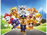 Leinwandbild BÖNNINGHOFF "Wandbild CAT PACK PAW PATROL 46x61 cm – Leinwandbild Keilrahmen Deko", blau (farbe bild(er): blau, gelb, weiß, rosa, orange), B:46cm H:61cm T:1,8cm, Canvas, MDF, Bilder, Leinwandbild, auf Keilrahmen gespannt